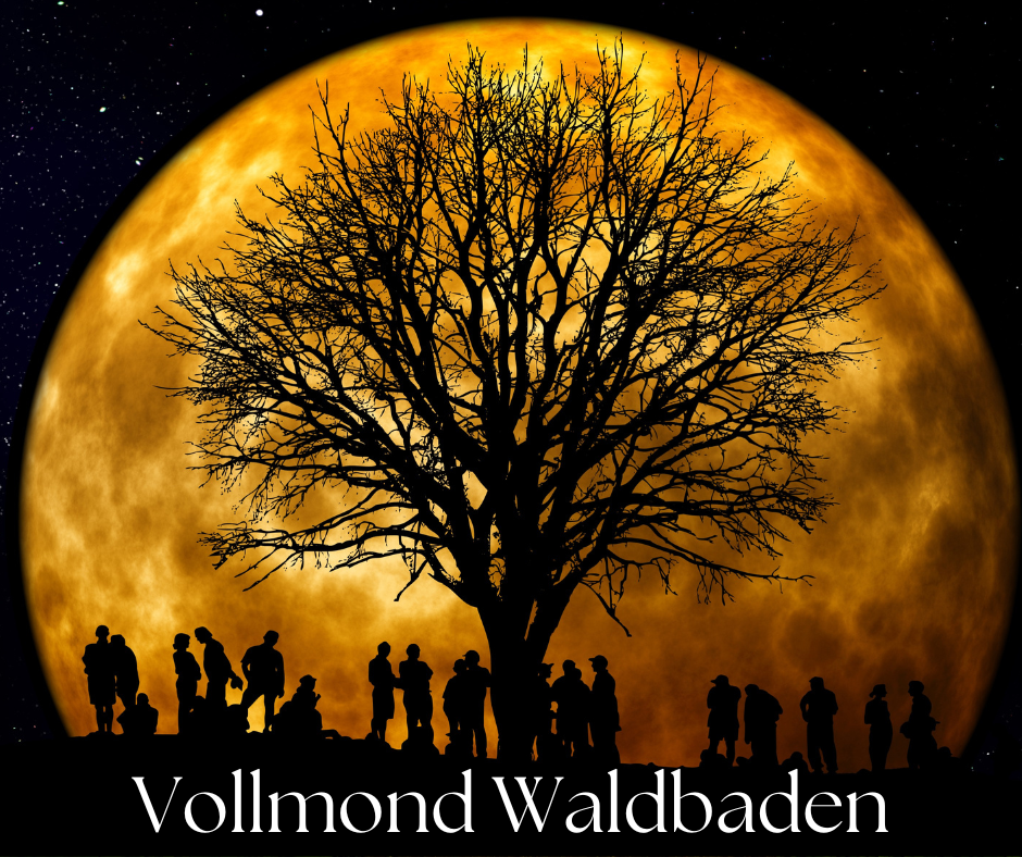 Vollmond Waldbaden